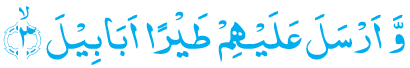 ef5